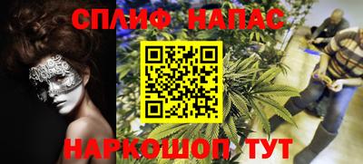 Альфа ПВП Краснознаменск